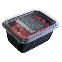 Andros IQF Raspberries