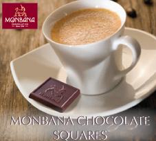Chocolate Squares