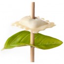 Foodservice