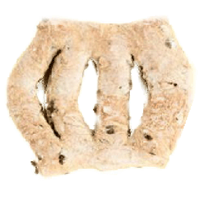 Olive Fougasse