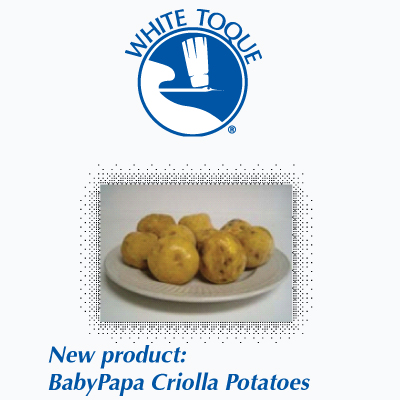 New Product: BabyPapa Criolla Potatoes